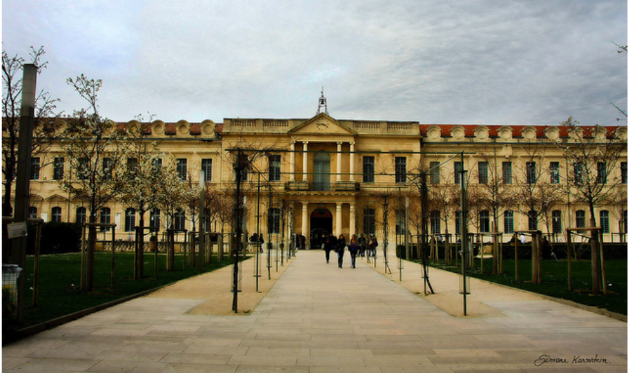University of Avignon